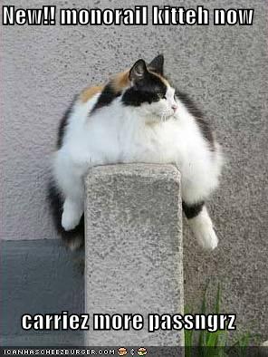 Funny  on Funny Cat Pictures    Funny Pictures Fat Monorail Cat